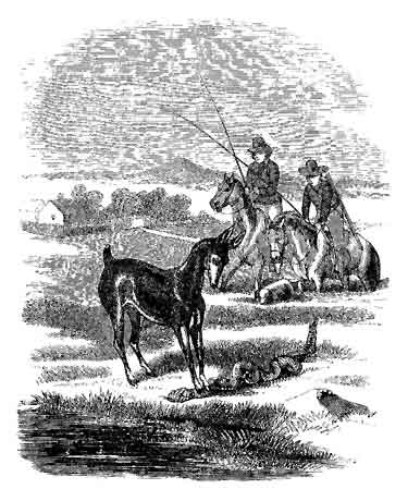 It grew weaker and weaker, and finally turned
over on its back.