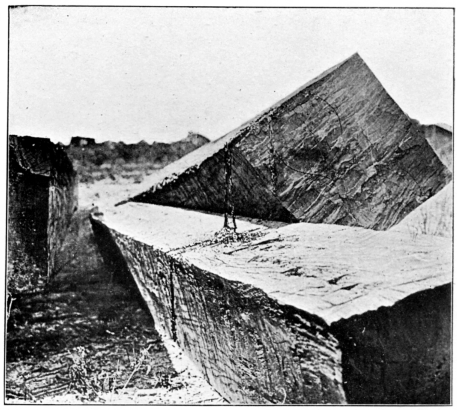 Square Quebracho Logs worked by the Axeman, showing
Resin oozing therefrom.