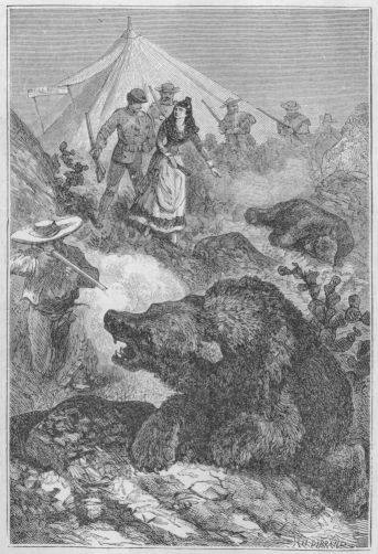 Gambusino notkisti toisen polvensa maata vasten ja asetti pyssyn
olkap��ns� nojaan.