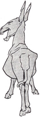 The
Wise Donkey