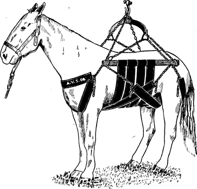 Fig. 6&mdash;A sling made in two parts so that horses may be
supported without use of central part or bodice. This sling is more
comfortable than is the ordinary style and is particularly useful in
cases that require a long period of this manner of confinement.