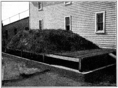 Fig. 9.--A maggot trap for house-fly control. View showing the concrete basin containing
water in which larv&aelig; are drowned, and the wooden platform on which manure is
heaped. (Hutchison.)