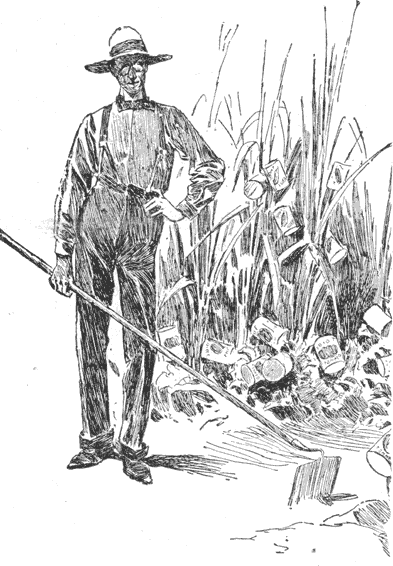 "'A LITTLE GARDEN OF MY OWN, WHERE I COULD RAISE AN
OCCASIONAL CAN OF TOMATOES'"