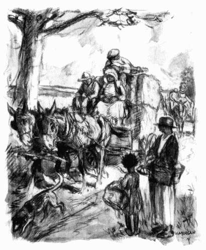 Harness held together by that especial Providence which watches over negro
mendings