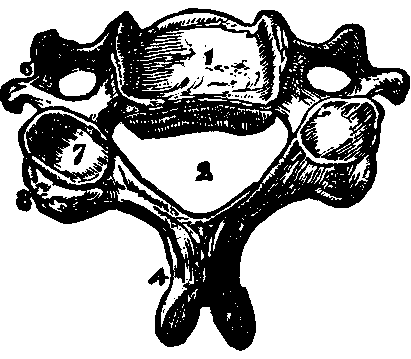 Illustration:
Fig. 12.