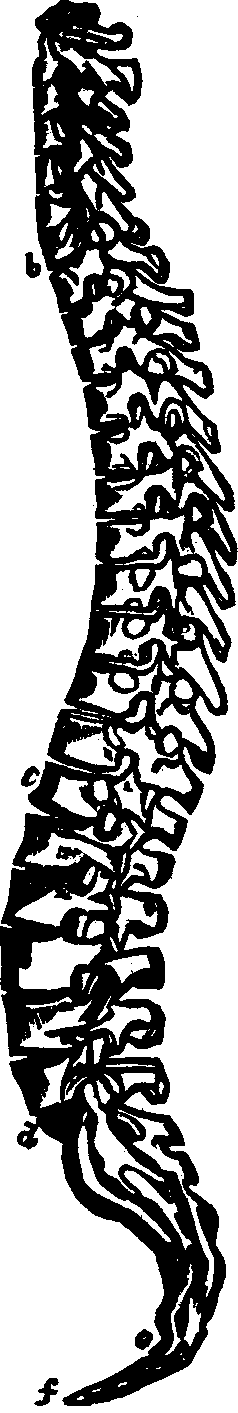 Illustration:
Fig. 14.