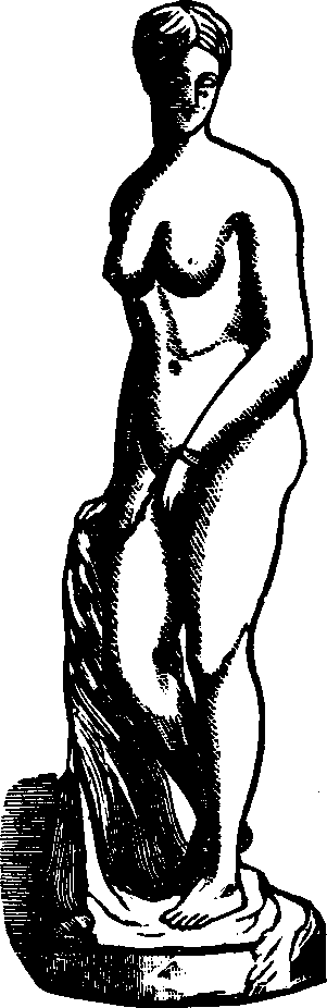 Illustration:
Fig. 96.