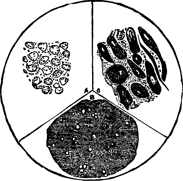 Illustration:
Fig. 6.