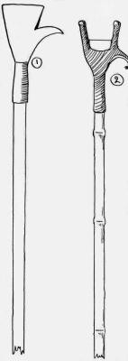 (1) COMMON TYPE OF CACAO PICKER.
(2) AGOSTINI CACAO PICKER.