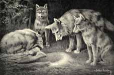 "OH, DON'T MENTION IT!" EXCLAIMED THE WOLF; "NO DOUBT WE SHALL FIND SOMETHING
FOR DINNER PRESENTLY."