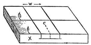 Fig. 63.&mdash;How the Timber is Marked.