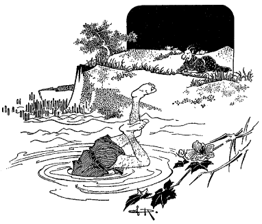 Le loup, entra�n� par le poids, tombe dans l'�tang