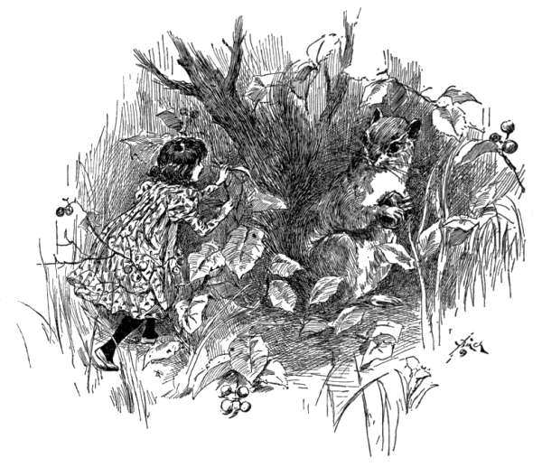 "&mdash;TO BE CHATTERED AT BY SQUIRRELS A HEAD TALLER THAN SHE HERSELF WAS."