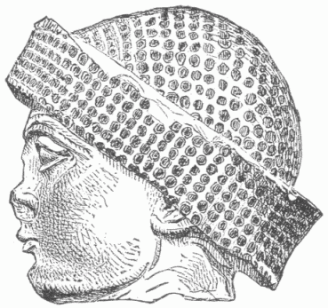 45.&mdash;SAME, PROFILE VIEW.