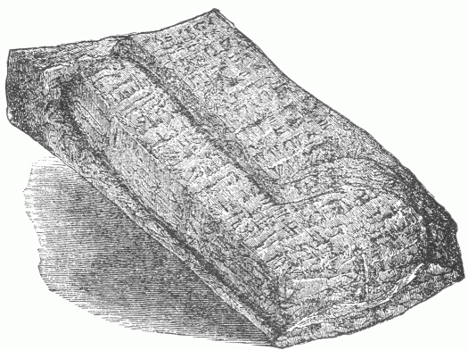 48.&mdash;CLAY TABLET IN ITS CASE. (Hommel.)