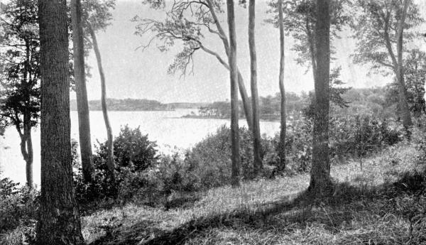 "THESE WORDS SHE SPAKE AND ALIGHTED SOON ON THE WATERS'
LIMPID BREAST."