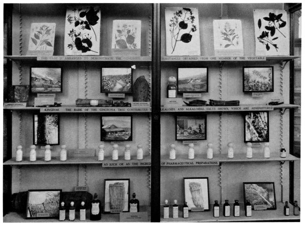 Figure 8.&mdash;Exhibit on remedies derived from drugs of vegetable origin