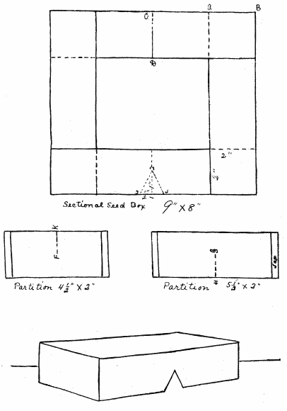 SEED BOX WITH SECTIONS&mdash;(For description see page 37.)