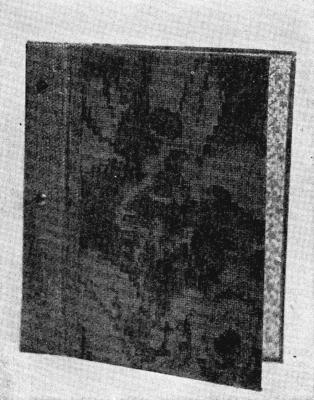 SCRAP OR CLIPPING BOOK

Cover of fancy paper&mdash;(For description see pages 51 and 52.)