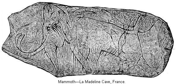 Mammoth&mdash;La Madeline Cave, France.