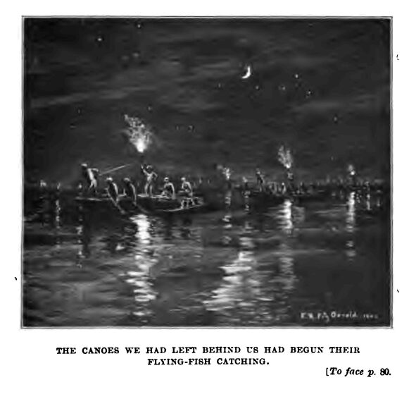 Began Their Flying-fish Catching 120