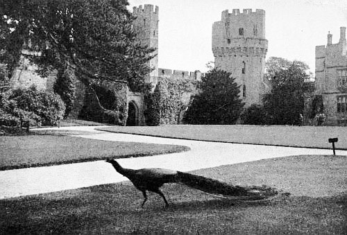 “They know how important they are, and that this garden
wouldn’t be complete without them.”