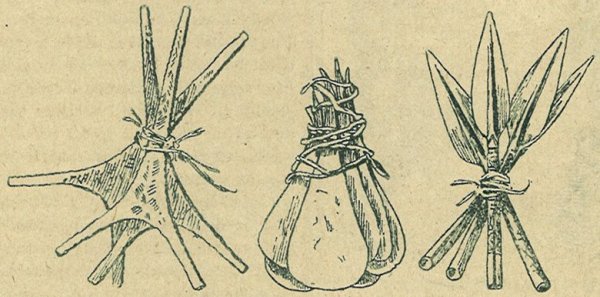 Csom&oacute;ba k&ouml;t&ouml;tt k&uuml;l&ouml;nb&ouml;ző afrikai vasp&eacute;nzek