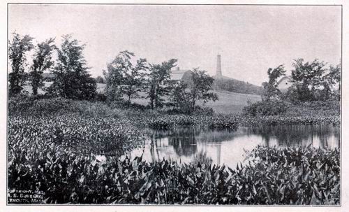 Captain's Hill from Marsh Margin
