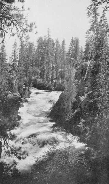 Along the Deschutes, the "River of Falls." "It roars and rushes, in
white-watered Cascades"

