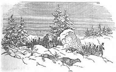 Hard times did not leave a single farm-house
unvisited.