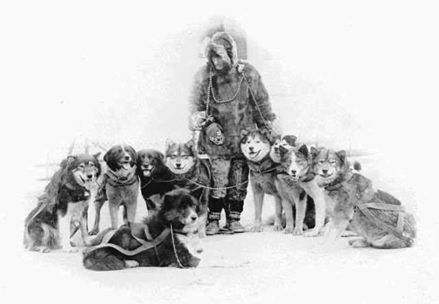 Copyright by E. A. Hegg, Juneau Courtesy of Webster &
Stevens, Seattle

A Famous Team of Huskies