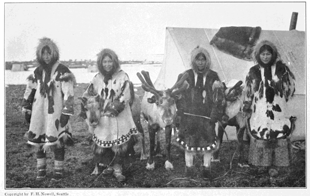 Copyright by F. H. Nowell, Seattle

Four Beauties of Cape Prince of Wales with Sled Reindeer of the American
Missionary Herd
