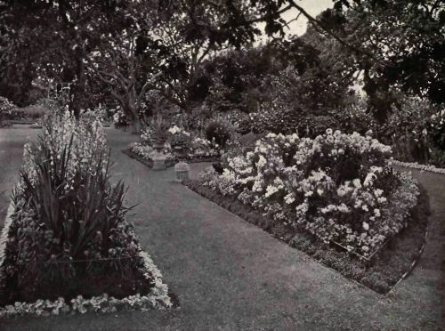 PLATE 165 Victoria City, Vancouver Island, B.&nbsp;C.