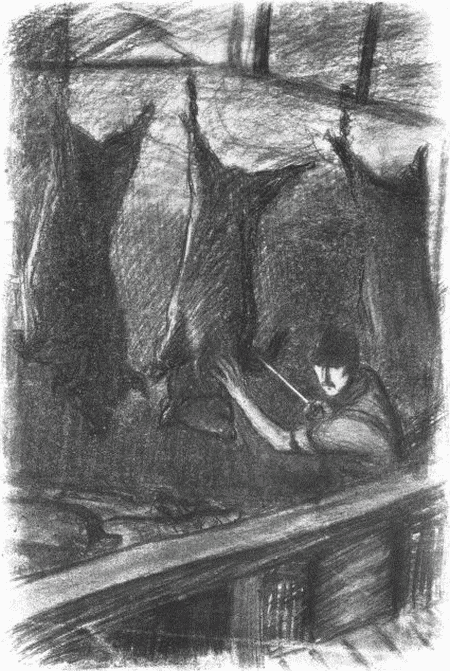 As I stood there, studying the temperament of pigs, I saw the
butcher looking up at me.... I have never seen such eyes