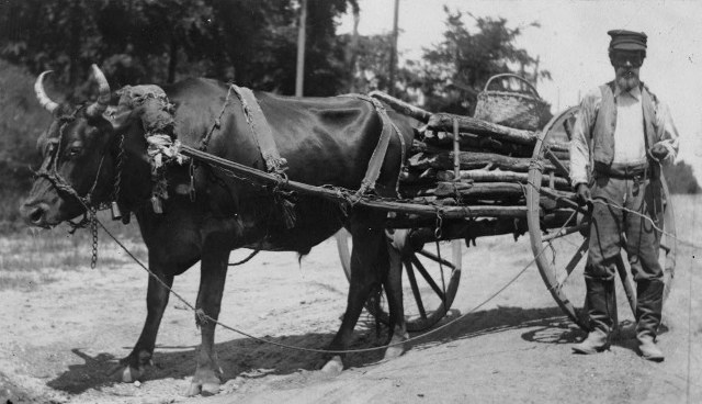 Alonza Fantroy Toombs