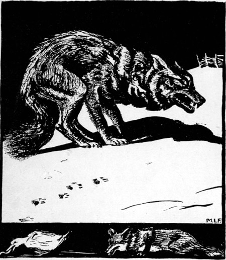 THAT NIGHT AN OLD WOLF CAME THROUGH THE FOREST IN
SEARCH OF FOOD