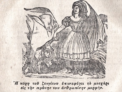 Η κόρη του ζευγίτου επαναφέρει το μοσχάρι εις την πρώτη του
ανθρωπίνην μορφήν