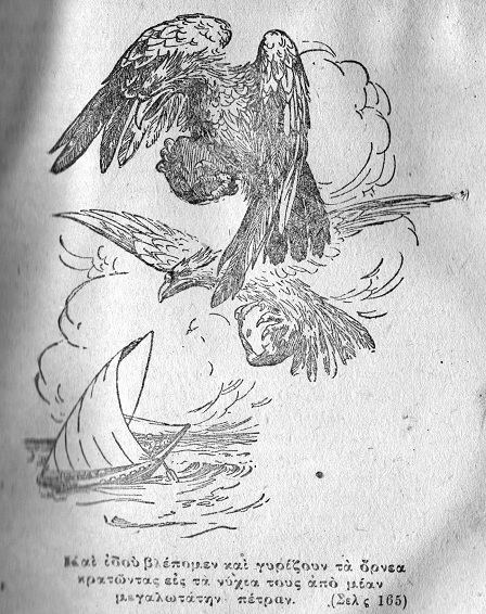 Και ιδού βλέπομεν και γυρίζουν τα όρνεα κρατώντας
εις τα
νύχια τους από μίαν μεγαλωτάτην πέτραν,