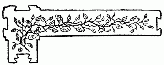 decoraci�n no disponible