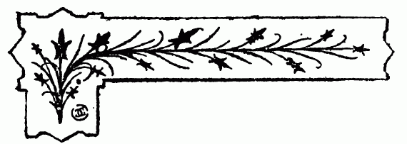 decoraci�n no disponible