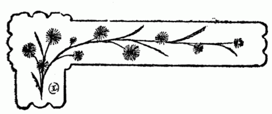 decoraci�n no disponible