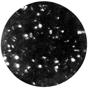 Barium Sulphate Polarized Light