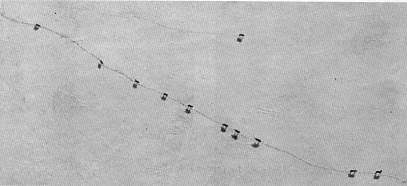 Figure 4.&mdash;An important technique used in the study involved aerial tracking
and observing of wolf packs. (Photo courtesy of L. D. Frenzel.)