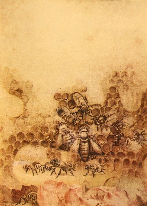 "The queen takes possession together with her servants,
guardians and counsellors."