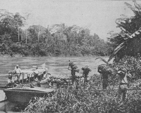 Fig. 52.&mdash;Loading a Small Boat with Bananas to be taken to the
"Fruiter" in the Harbor.