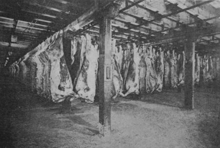 Fig. 12.&mdash;Cooling Beef.