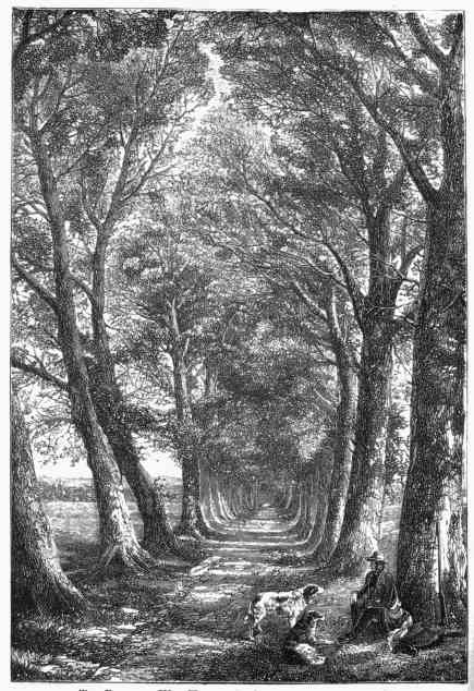 The Pleasant Way Home. By CRESWICK. Exhibited in
1846.