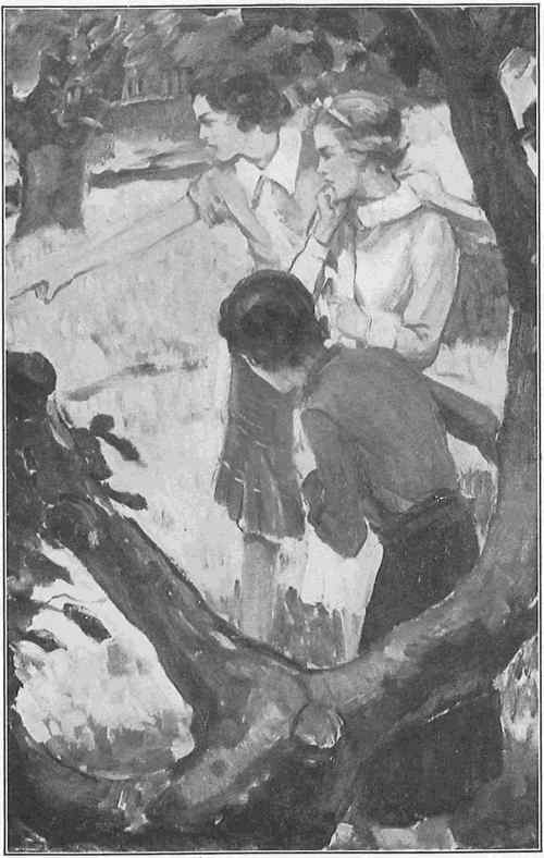 &ldquo;Oh-h-h-h-e-e!&rdquo; screamed Sim, &ldquo;Oh, girls, look here!&rdquo;