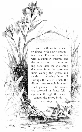 green with winter wheat, or tinged with newly sprouting grain. The sunbeams
glow with a summer warmth, and the evaporation of the morning dews lifts
the glistening diamonds from the gossamer films among the grass, and
sends a quivering haze all through the air, in which the distant trees
tremble in a softened glimmer. The woods are screened in dense foliage,
and through the leafy canopy the merry birds dart and sing.