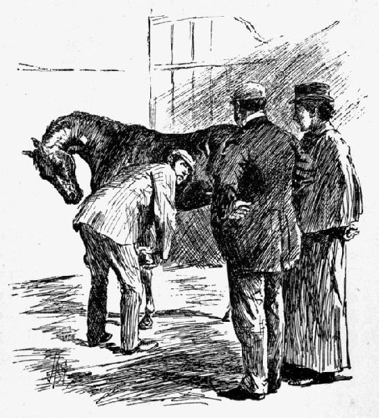 "YOU'VE A LOT TO LEARN ABOUT NAVICULAR, YOU 'AVE, IF YOU CAN TALK SUCH
ROT AS THAT!"